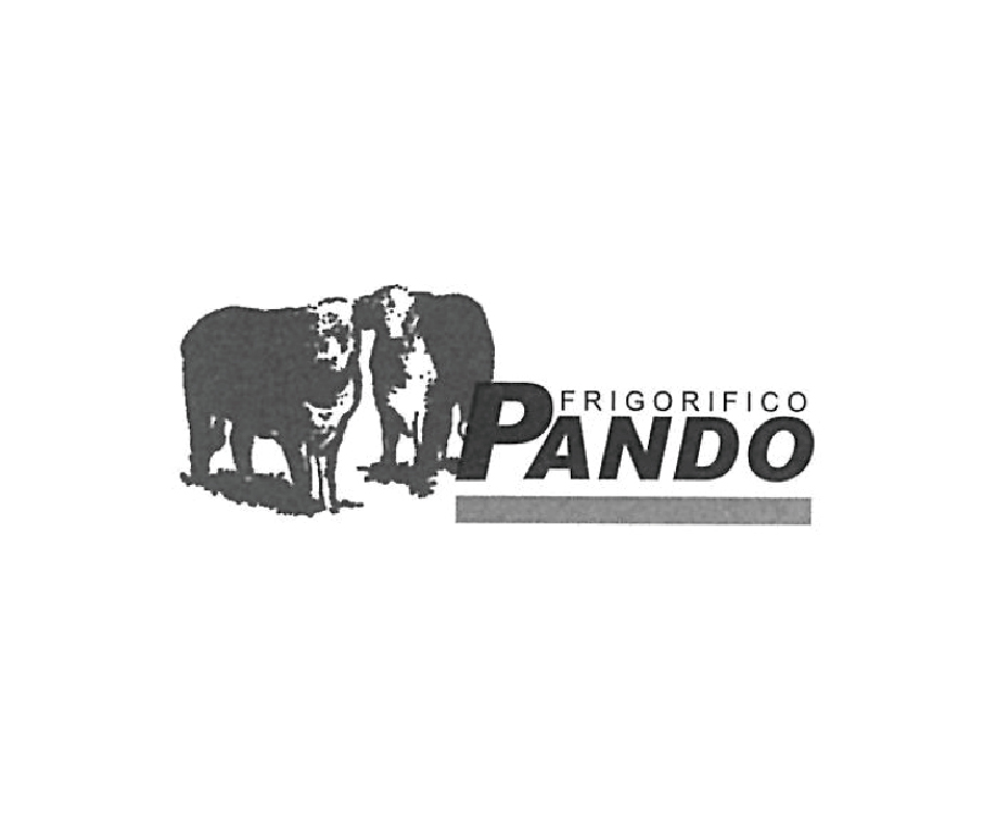 Pando